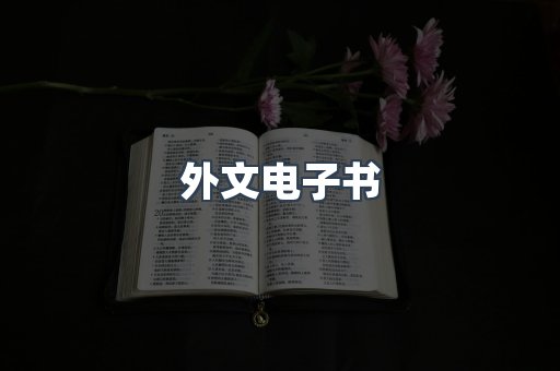 外文电子书